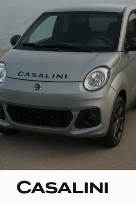Service reset Casalini M14 / M20 - how to turn off the service light