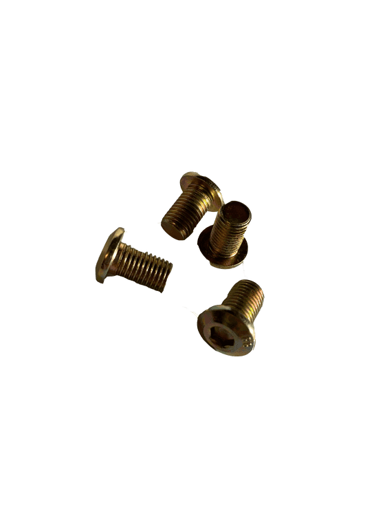 Screws for front brake disc (4 pieces) - MinicarSpares